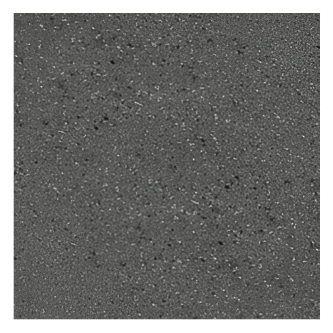 Missouri Grey